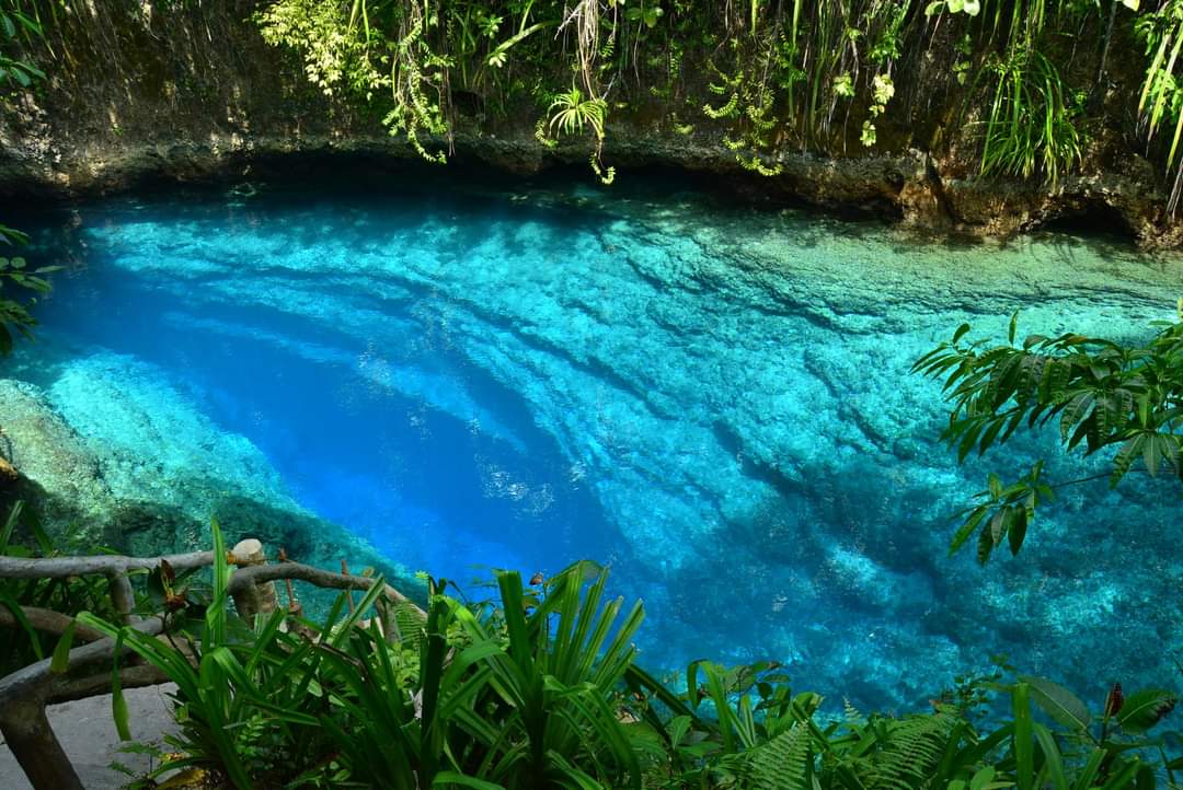 <b class="font-bara"><i class="bi bi-geo-fill h4"></i> ENCHANTED RIVER</b> <br/>Seeing something majestic almost always leaves people speechless, even breathless! That is exactly how you feel the instant you lay your sights in Enchanted River. The awesome deep river inside a thick forest with color like pepsi blue... very cool.. very clear.. and very mystical allows the viewing of spectacular schools of fish of different varieties and colors which add to its mysterious attraction.