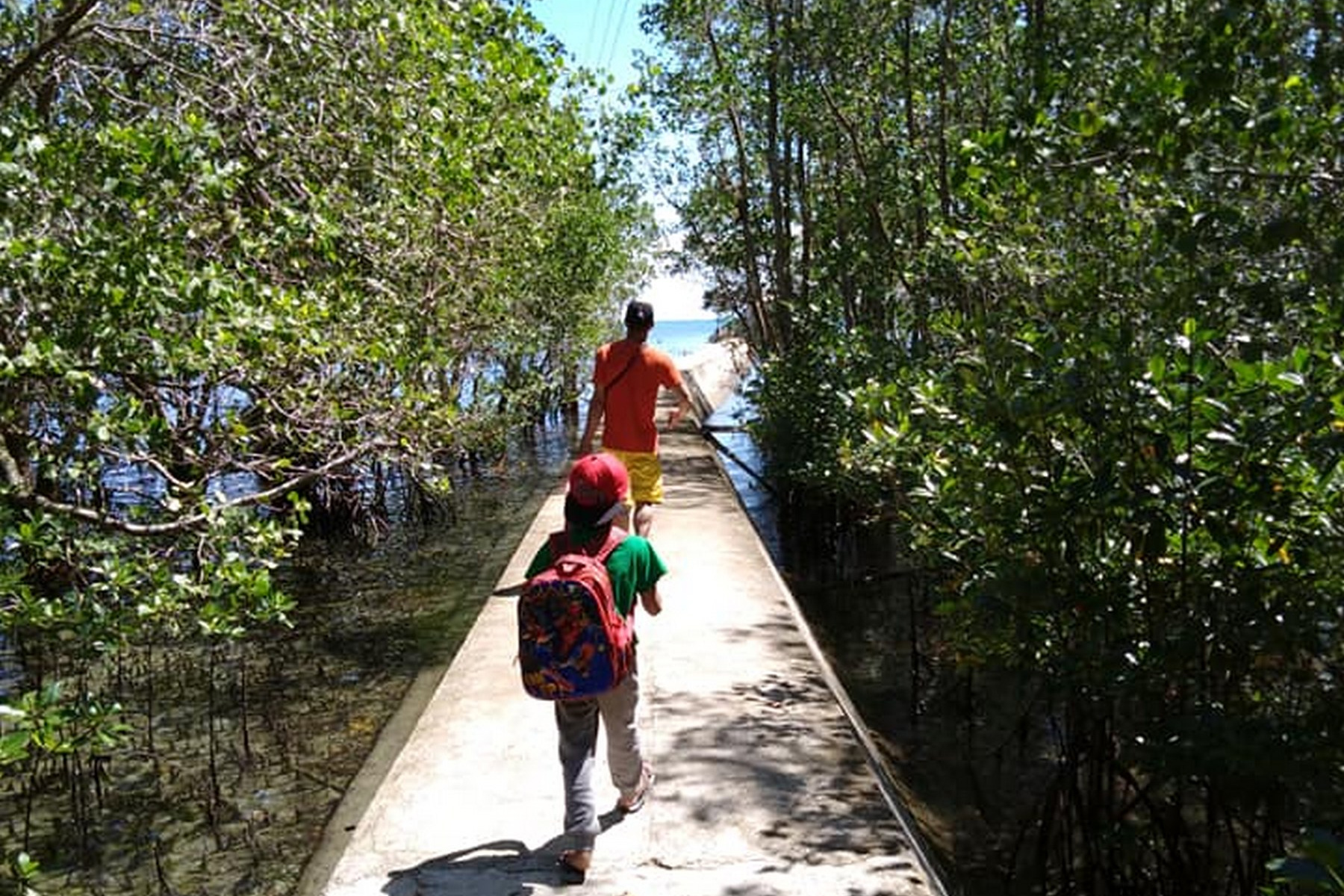 <b class="font-bara"><i class="bi bi-geo-fill h4"></i> SAN JUAN WHARF</b> <br/>Unique mosaic of ecosystems - beach, coral reefs, wetland, coastal forest with species of mangrove growing around the place and supporting an astounding diversity of birds and marine life.