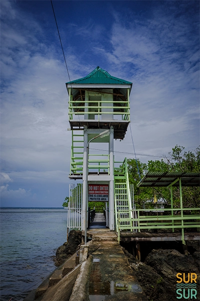 Gallery image 1
